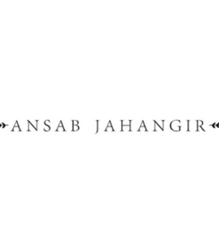 Ansab Jahangir