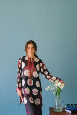 Alternative view of Polka Culture