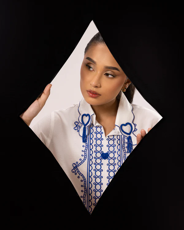 D-13 CAPRICORN - Image 2