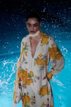 Alternative view of Mira