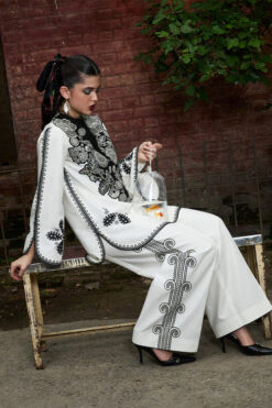 Alternative view of Naren