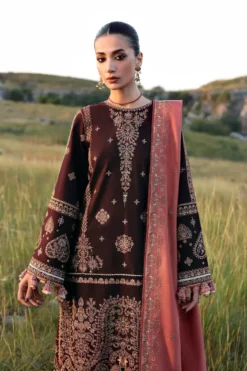 Alternative view of Nazneen