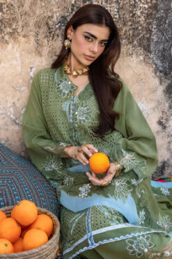 Alternative view of GULNAAR 4-B