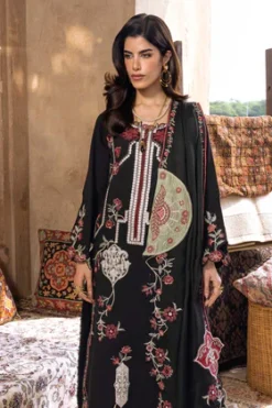 Alternative view of CYRA 6-A