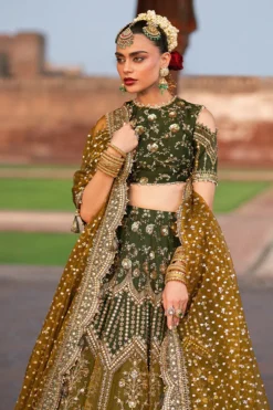 Alternative view of Afsana