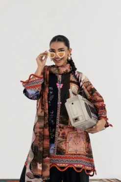 Alternative view of H255-009B-2DA