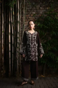 Chocolate Brownie (NPA2-25321)