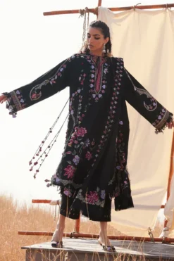 Alternative view of Sehyr (ZW25-11)