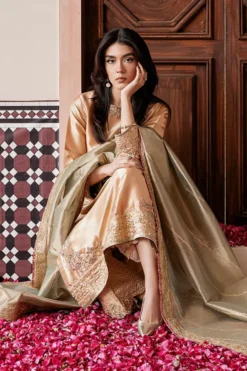 Alternative view of Parisa