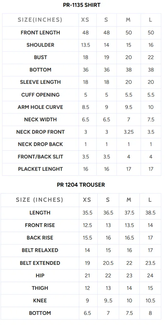 Embroidered Chiffon PR-1135 - Image 4