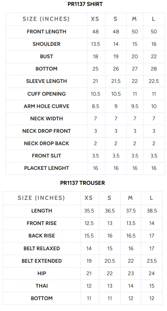 Embroidered Chiffon PR-1137 - Image 4