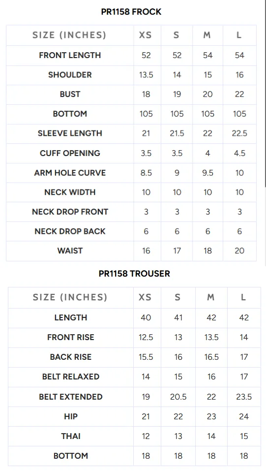 Embroidered Chiffon PR-1158 - Image 4