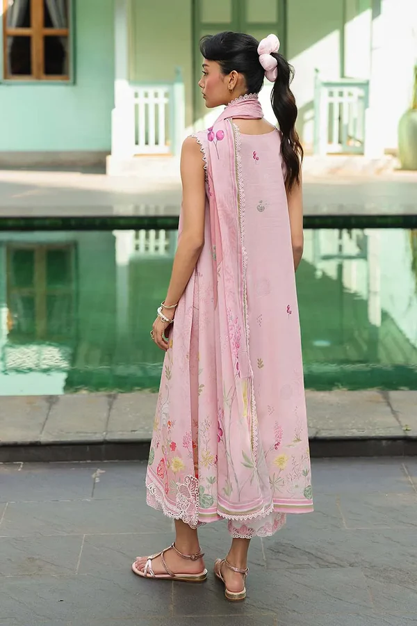 AX-01 (B) Iona - Image 3