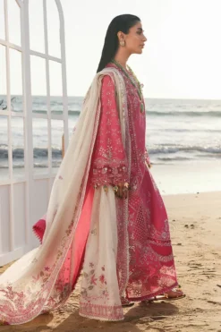 Alternative view of SA-13 Tara