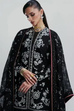 Alternative view of Zaarish