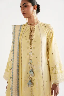 Alternative view of Eira