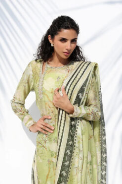 Alternative view of Alara