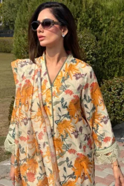 Alternative view of Sunset Chrysanthemum