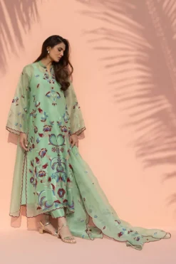 Alternative view of Nola (B)