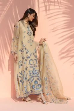 Alternative view of Nola (A)