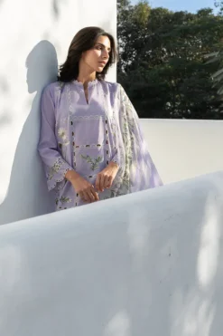 Alternative view of Seya (B)