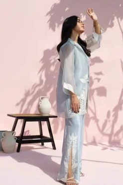 Alternative view of Tami