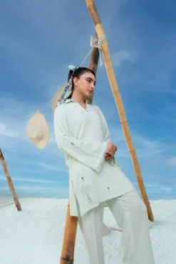 Alternative view of Mint Mojito