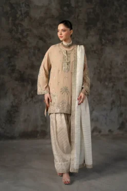 Embroidered Suit | E1012/104/113