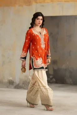 Alternative view of E1039/104/205