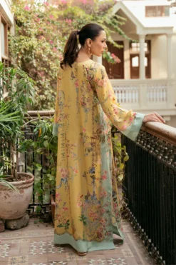 Alternative view of Sun Rose