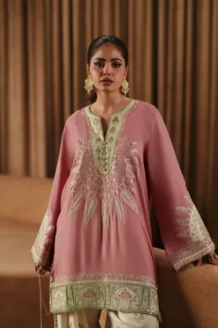 Alternative view of E1008/104/527