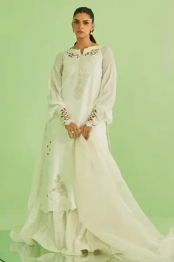 Briar Shirt And Dupatta