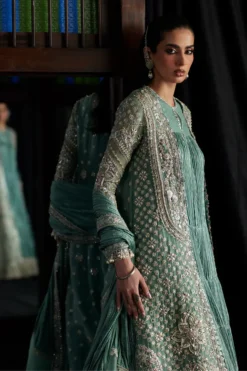 Alternative view of Olyra