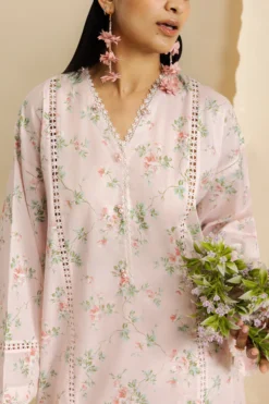 Alternative view of Mallow (ZRW-21720)