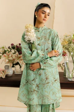 Alternative view of SIA (ZRW-21726)