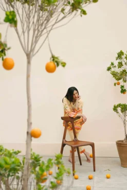 Alternative view of Japanese Desert