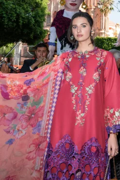 Alternative view of Nicolas