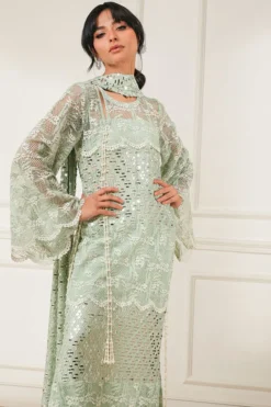 Alternative view of Nova