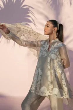 Alternative view of Rey