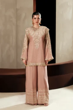 Embroidered Suit - E1091/104/809