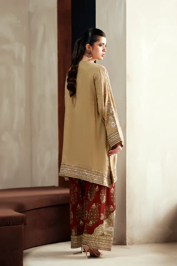 Embroidered Suit - E1096/104/007 - Image 3