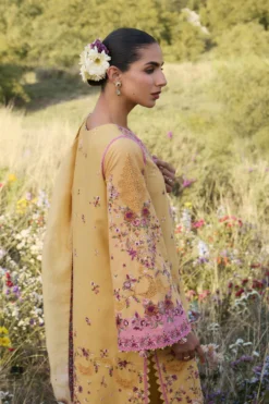 Alternative view of Sonal