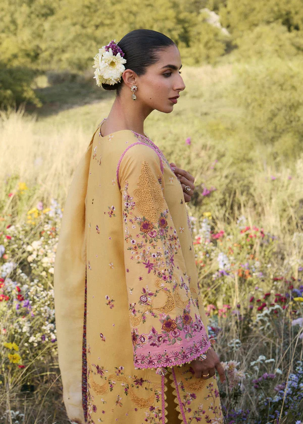 Sonal - Image 2
