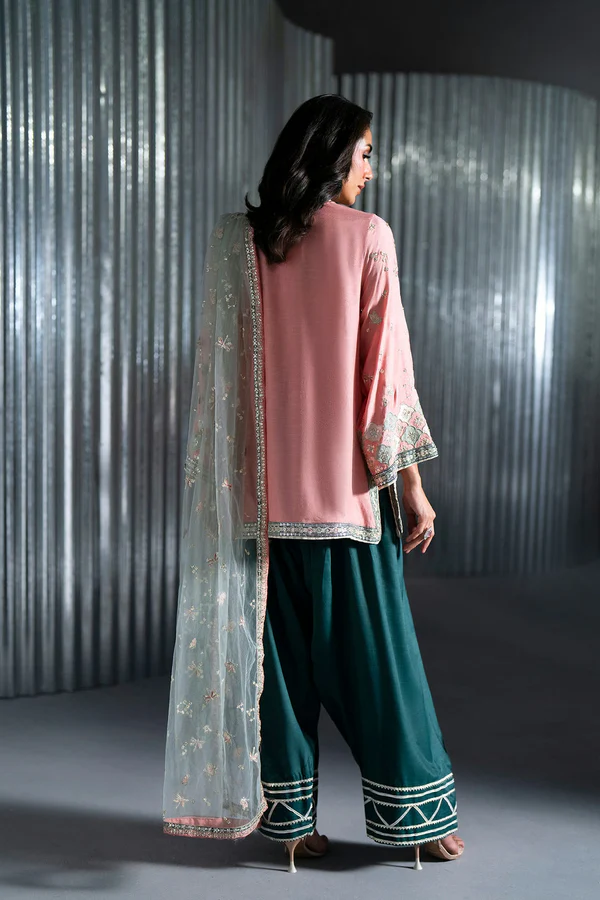 Embroidered Suit | E1037/104/327 - Image 4