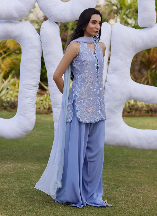 Vanessa Jacket And Dupatta - Image 3