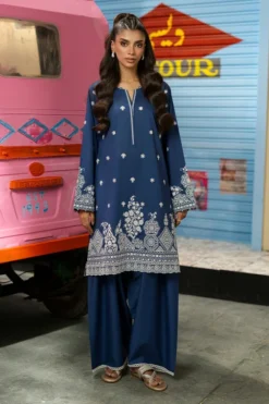 Embroidered Co-ord Set | 16977/401/314