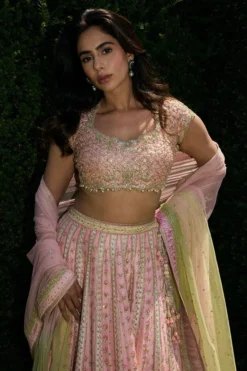 Alternative view of Nola Lehenga Choli