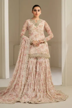 Embroidered Chiffon F-4164
