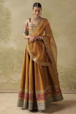 Gold Leaf Lehnga Choli