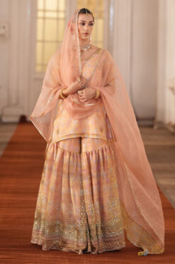 MultiPrinted Organza Gharara Outfit